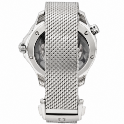 OMEGA SEAMASTER DIVER 300 M 007 210.30.42.20.03.002 Watch
